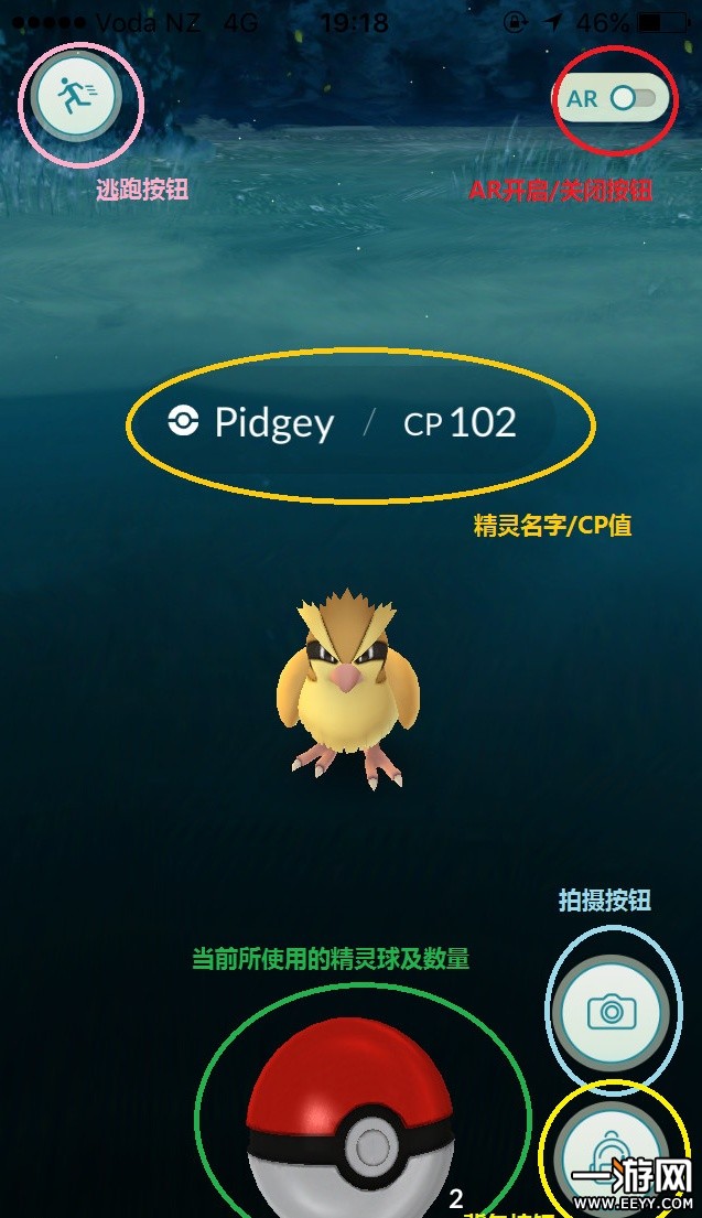 pokemongo pokemongo精灵